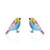 Aros de Pajaro Multicolor Plateado