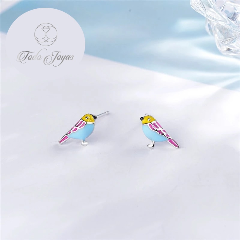 Aros de Pajaro Multicolor Plateado - Imagen 5