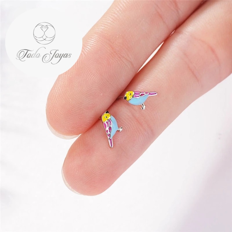 Aros de Pajaro Multicolor Plateado - Imagen 6