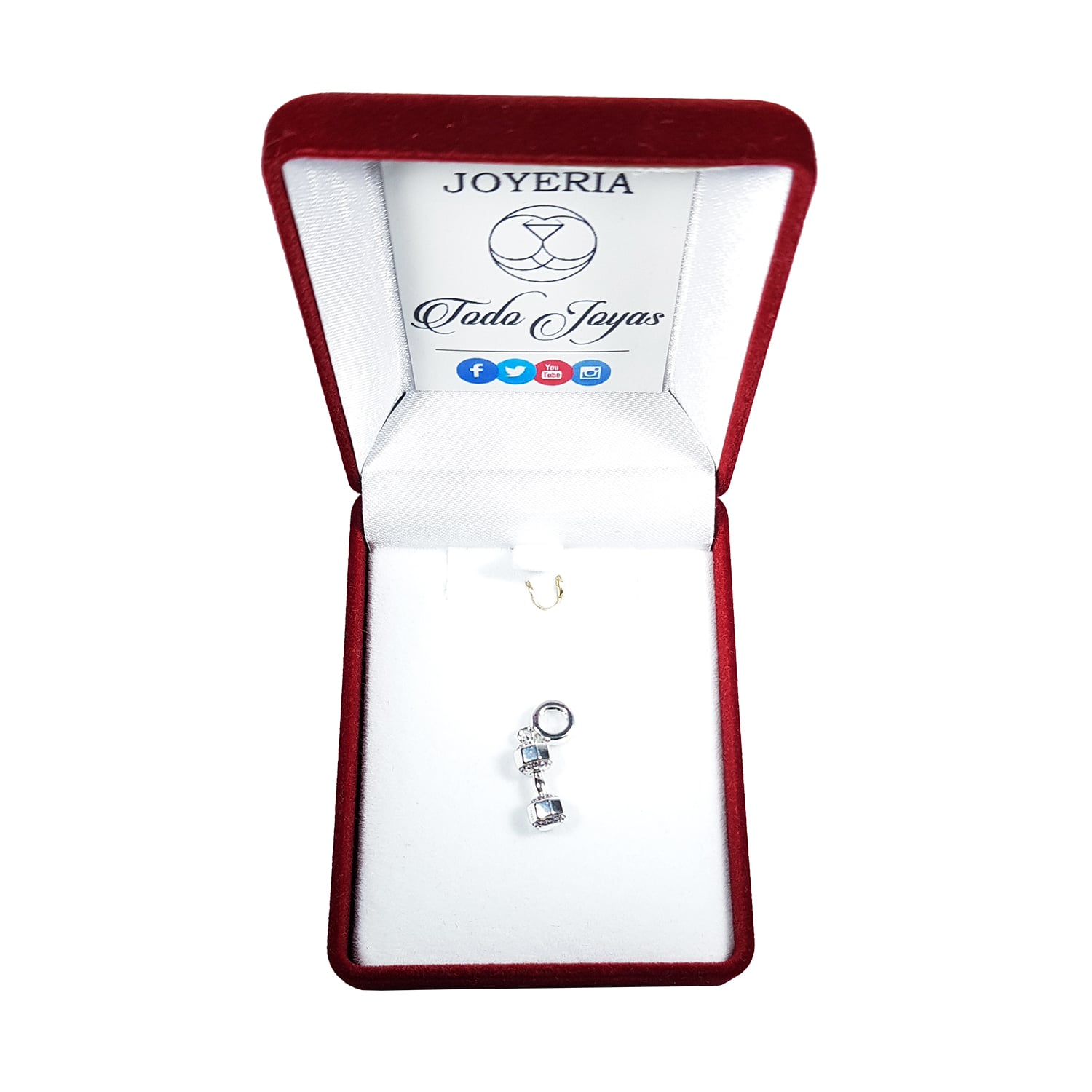 Charm Dije Plata 925 Pesa Liv Fit - Imagen 2